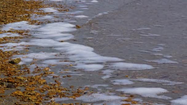 Eau Sale Mousse Dans Lac Eutrophisation Pollution Des Réservoirs Naturels — Video