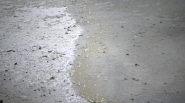 Rüzgar, Ukrayna 'daki Kuyalnitsky Estuary' nin sığ sularındaki sahil şeridine hızlı bir şekilde kirli su ve köpük sürer.