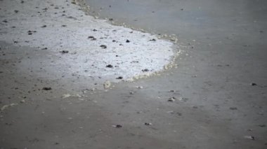 Rüzgar, Ukrayna 'daki Kuyalnitsky Estuary' nin sığ sularındaki sahil şeridine hızlı bir şekilde kirli su ve köpük sürer.