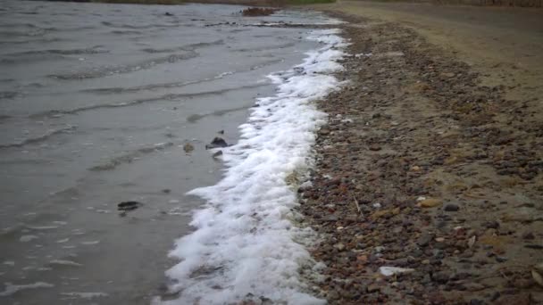 Agua Sucia Espuma Lago Eutrofización Contaminación Los Embalses Naturales — Vídeos de Stock