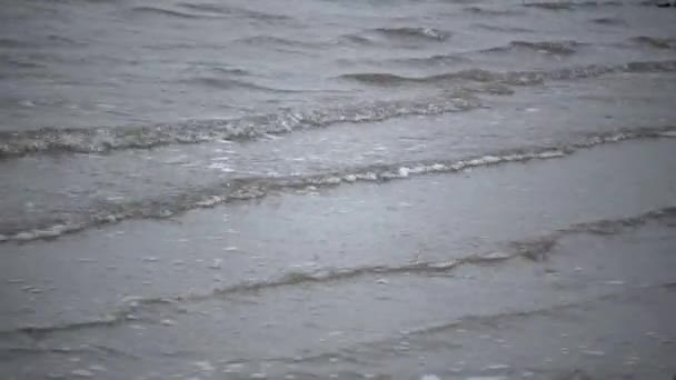 Eutrofización Contaminación Los Embalses Naturales Agua Sucia Espuma Lago — Vídeo de stock
