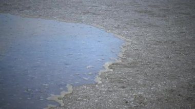 Rüzgar, Ukrayna 'daki Kuyalnitsky Estuary' nin sığ sularındaki sahil şeridine hızlı bir şekilde kirli su ve köpük sürer.