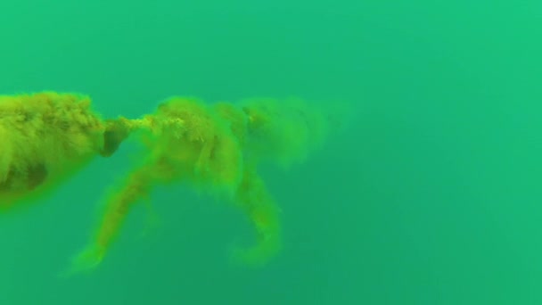 黑海海水柱绳索上的水溶性息肉和藻类 — 图库视频影像