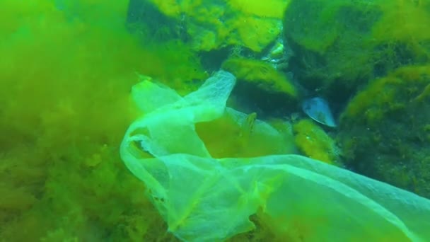 Ecologie Van Zwarte Zee Plastic Afval Onder Groene Algen Zeebodem — Stockvideo