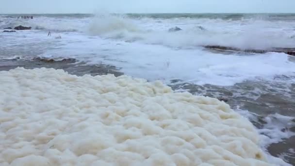 Denizin Ötrofikasyonu Kirliliği Karadeniz Fırtınası Sırasında Kirli Köpüklü Dalgalar Kıyıya — Stok video