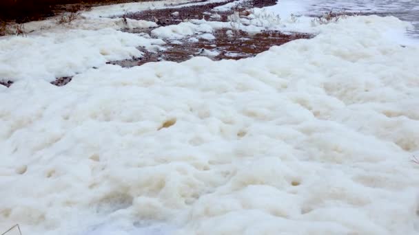 Eutrofização Poluição Mar Ondas Com Espuma Suja Costa Durante Uma — Vídeo de Stock