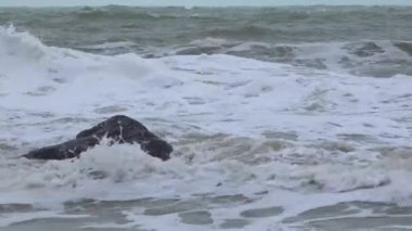 Deniz manzarası, denizde güçlü bir fırtına, kıyıda köpüklü dalgalar, Karadeniz.