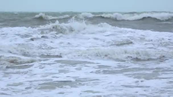 Paysage Marin Forte Tempête Sur Mer Vagues Avec Rouleau Mousse — Video