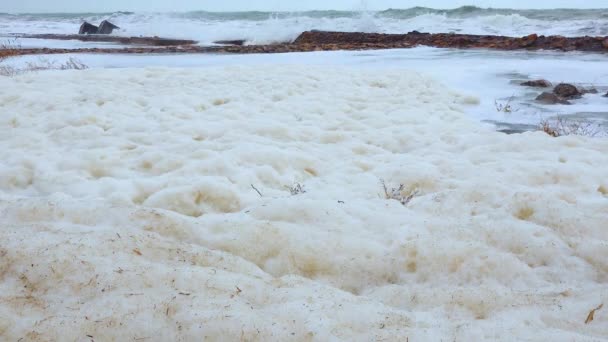 Denizin Ötrofikasyonu Kirliliği Güçlü Bir Fırtına Sırasında Kıyıda Kirli Köpüklerle — Stok video