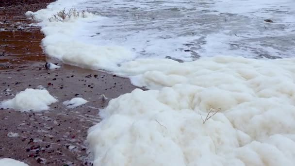 海の富栄養化と汚染 強い嵐の間の海岸に汚れた泡の波 — ストック動画