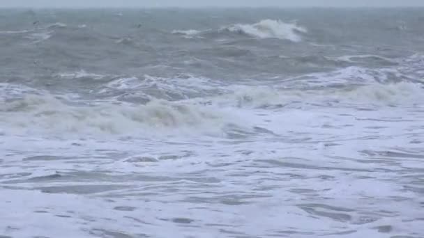Море Море Сильна Буря Хвилі Піною Котилися Березі Чорного Моря — стокове відео