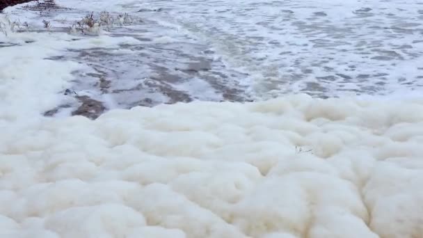 海水富营养化和污染 在强烈的风暴中 海浪带着肮脏的泡沫在岸上 — 图库视频影像