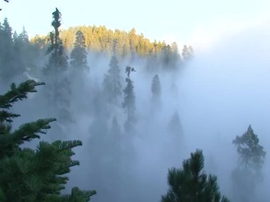 Sierra Nevada dağlarında alçak bulutlar