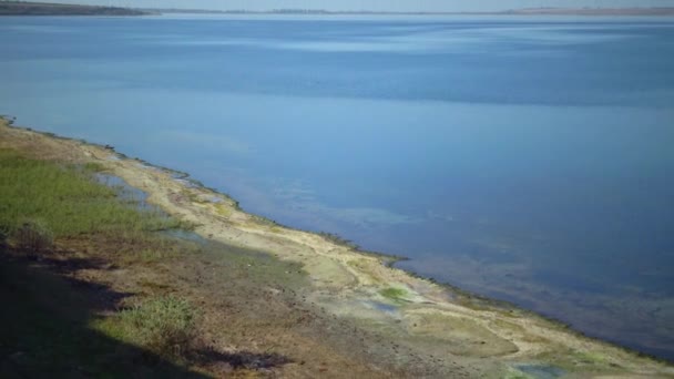 Wild Steppe Landscape Tiligul Estuary Shore Summer Ukraine — Wideo stockowe