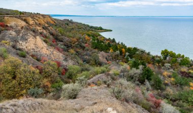 Clay shores of the Dniester estuary, steep with ravines, overgrown with wild steppe vegetation