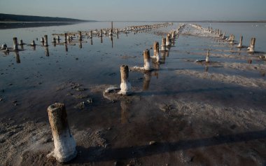 Salt crystals on wooden pillars of an old 18th century salt industry. The ecological problem is drought.  Drying Kuyalnik estuary. 