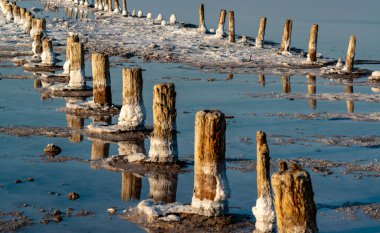 Salt crystals on wooden pillars of an old 18th century salt industry. The ecological problem is drought.  Drying Kuyalnik estuary. 