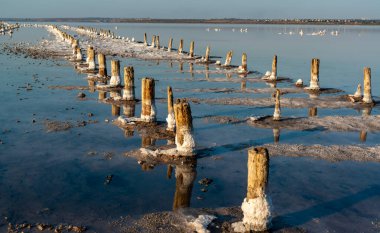 Salt crystals on wooden pillars of an old 18th century salt industry. The ecological problem is drought.  Drying Kuyalnik estuary. 