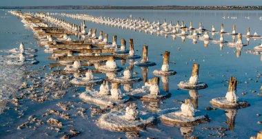 Salt crystals on wooden pillars of an old 18th century salt industry. The ecological problem is drought.  Drying Kuyalnik estuary. 