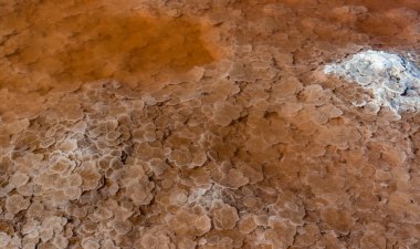 Self-sedimentary salt in the form of round crystalline formations in the hypersaline Kuyalnitsky estuary, an ecological disaster