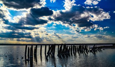 Ancient wooden piles in the Kuyalnitsky estuary, where self-sedimentary salt was mined from salt checks in the 18th century. 