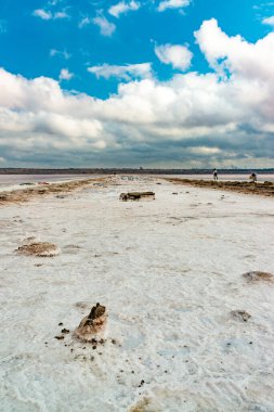 Salt crystals cover stones on the shore of a salt lake. Kuyalnik estuary, Black Sea