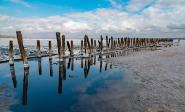 Salt crystals on wooden pillars of an old 18th century salt industry. The ecological problem is drought.