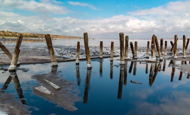 Salt crystals on wooden pillars of an old 18th century salt industry. The ecological problem is drought.