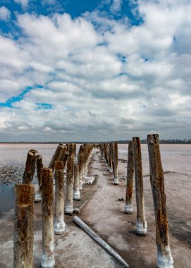 Salt crystals on wooden pillars of an old 18th century salt industry. The ecological problem is drought.
