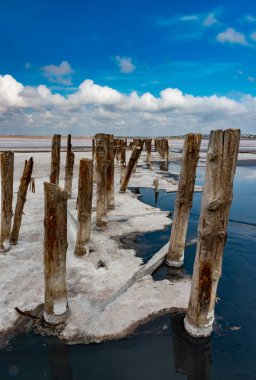 Salt Lake 'de. Ahşap kütüklere kendi kendine yerleşen tuz. Kuruyan bir gölde hipertuzlu su, çevresel bir sorun. Karadeniz, Ukrayna