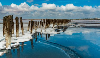 Salt crystals on wooden pillars of an old 18th century salt industry. The ecological problem is drought.