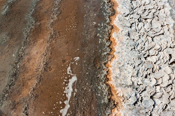 库亚尼克河口 在河口底部和河岸以圆形煎饼的形式提供食盐 食盐晶体 — 图库照片