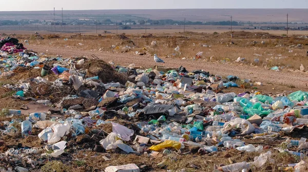 Pollution Steppe Nature Plastic Household Waste 2005 Crimea Tarkhankut — 스톡 사진