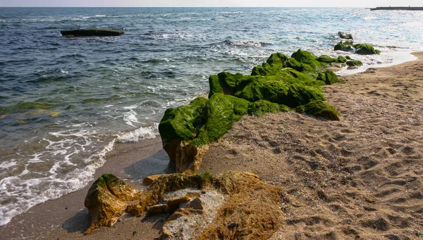 Küstensteine Schwarzen Meer Mit Grünalgen Bewachsen — Stockfoto
