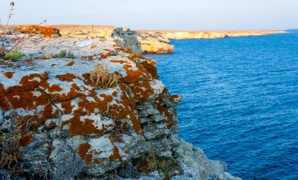 Orange Gray Lichens Coastal Limestone Stones Rocks Crimea Tarkhankut — Φωτογραφία Αρχείου