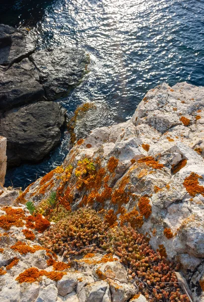 Orange Gray Lichens Coastal Limestone Stones Rocks Crimea Tarkhankut — Fotografia de Stock