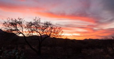Teksas 'ta taştan çölün üzerinde kırmızı gün batımı, Big Bend Ulusal Parkı