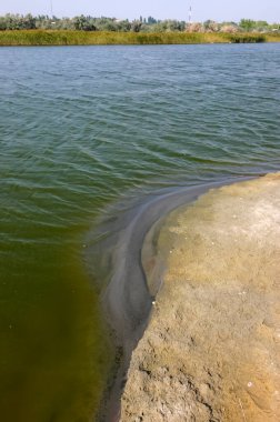 Karadeniz 'in kuzeybatısında eşsiz bir fauna ve bitki örtüsüyle sahil şeridi.