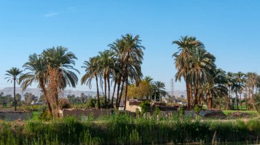 EGYPT, LUXOR - Mart 01, 2019: Mısır 'ın Luxor yakınlarındaki yoksul Mısırlıların tipik evleri 