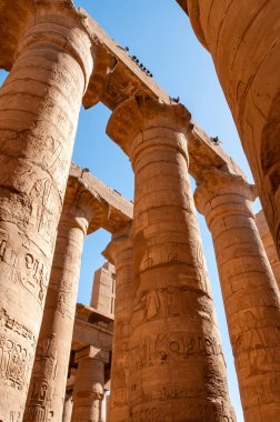 EGYPT, LUXOR - Mart 01, 2019: Luxor, Mısır 'daki Karnak' ta hiyeroglifler, çizimler ve yazıtlar içeren antik tapınak sütunları