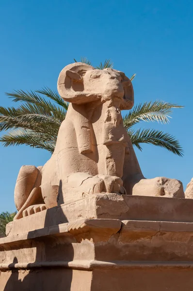 stock image EGYPT,  LUXOR - MARCH 01, 2019: Avenue of ram-headed Sphinxes Karnak, Luxor, Egypt