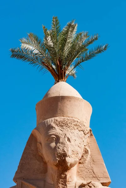 Egypt Luxor March 2019 Patung Batu Pasir Kuno Kuil Karnak — Stok Foto