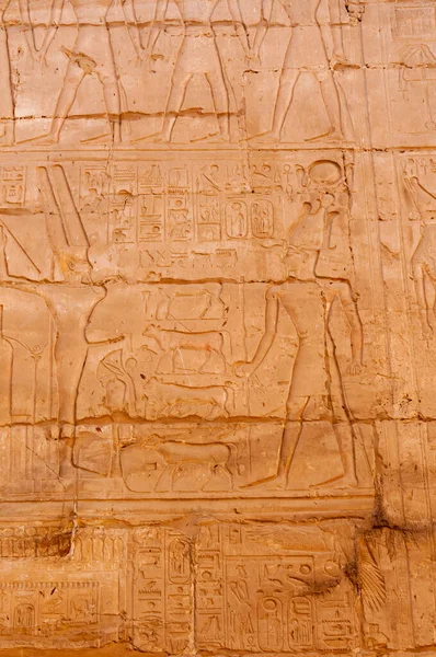 Ägypten Luxor März 2019 Altägyptische Hieroglyphen Zeichnungen Und Inschriften Den — Stockfoto