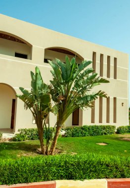 EGYPT, MARSA ALAM - 24 Şubat 2019: Kızıldeniz kıyısındaki çölde büyük bir otel kompleksi, Mısır