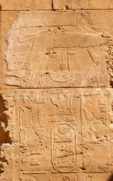 Egypt Luxor Μαρτιου 2019 Αρχαία Αιγυπτιακά Ιερογλυφικά Σχέδια Και Επιγραφές — Φωτογραφία Αρχείου