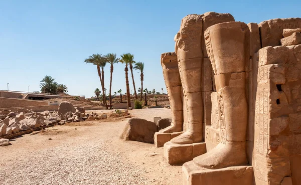 Egypt Luxor March 2019 Palm Trees Territory Preserved Ruins Ancient — Stock Photo, Image