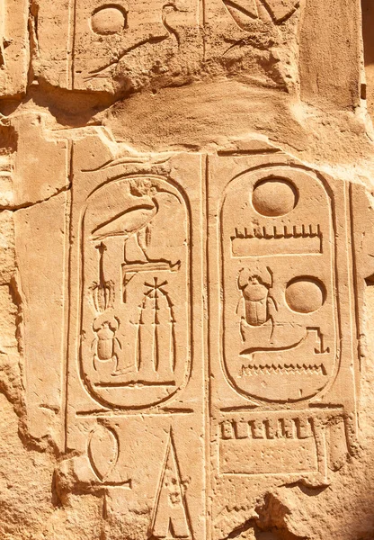 Luxor 2019年3月1日 古埃及象形文字 图画和碑文刻在卢克索的卡尔纳克神庙的墙壁和柱子上 — 图库照片