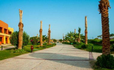 EGYPT, MARS ALAMA - 26 Şubat 2019: Mısır 'da bir otelin iç kısımlarında palmiye ağaçları olan ara sokak, Marsa Alam