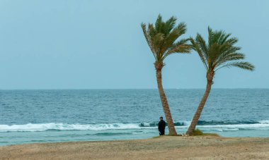 EGYPT, MARSA ALAM - 27 Şubat 2019: Mercan resifinin kıyısındaki yalnız palmiye ağaçları bulutlu gökyüzünün arka planına karşı