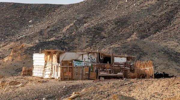 Эгипт Февраля 2019 Года Жилище Бедных Бедуинских Пастухов Пустыни Районе — стоковое фото
